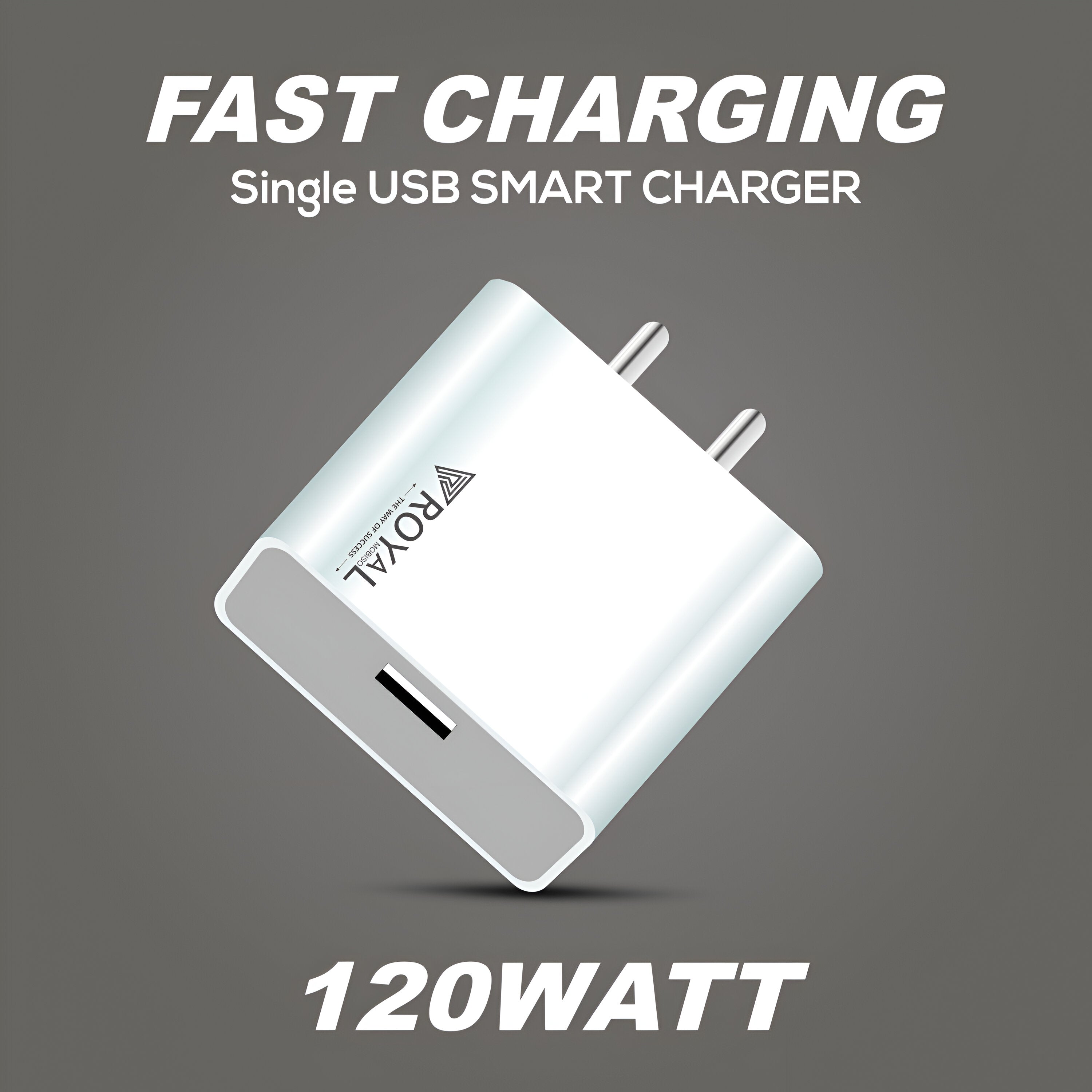 120W Charging Powerhouse Charger