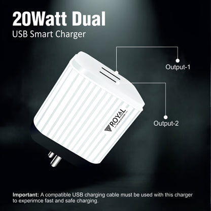 Efficient 20W Dual Port Charger